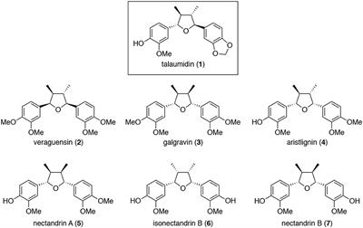 Chemistry and Neurotrophic Activities of (–)-Talaumidin and Its Derivatives